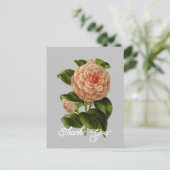 roze camellia albino botti dank u briefkaart (Staand voorkant)