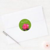 roze camellia bloem bedankt stickers (Envelop)