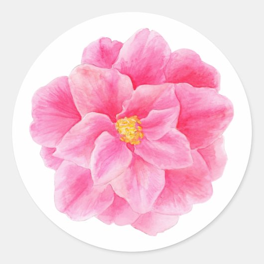 Roze camellia bloem waterverf kunst sticker (Voorkant)