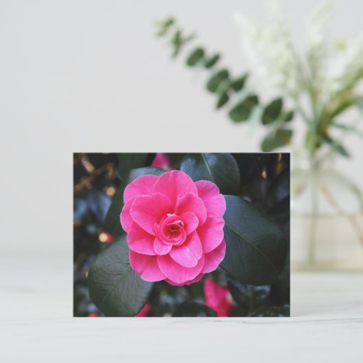 Roze Camellia Briefkaart (Staand voorkant)