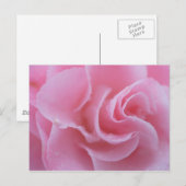 Roze Camellia Briefkaart (Voorkant / Achterkant)