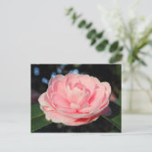 Roze Camellia Briefkaart (Staand voorkant)