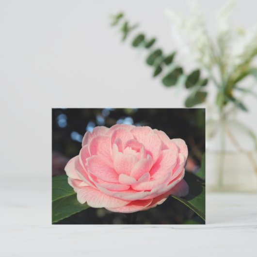 Roze Camellia Briefkaart (Staand voorkant)