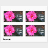 Roze Camellia Dank u Stickers (Vel)