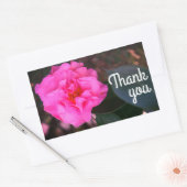 Roze Camellia Dank u Stickers (Envelop)