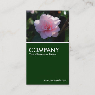 Roze Camellia - Donkergroen Visitekaartje