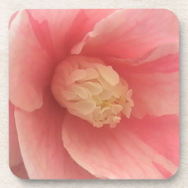 Roze Camellia Drankjes Onderzetter