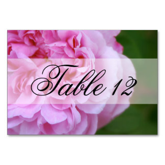 Roze Camellia en Ribbon Wedding Kaart