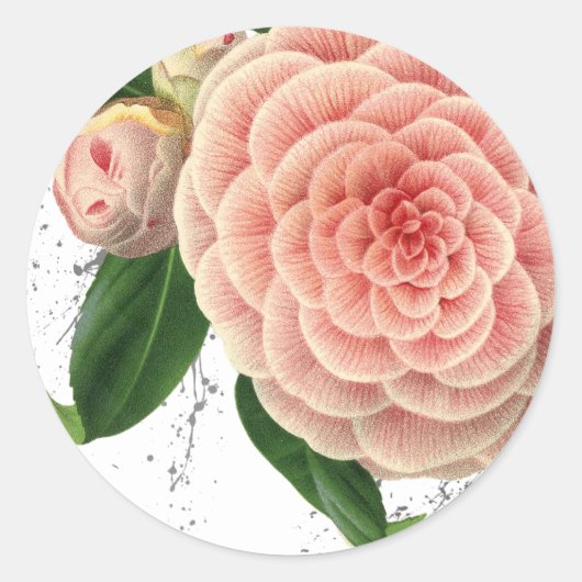 Roze Camellia Envelope Seal Stickers (Voorkant)