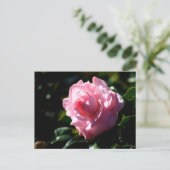 Roze Camellia Flower Briefkaart (Staand voorkant)