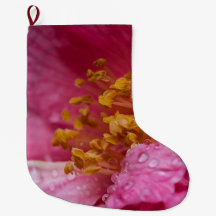 Roze Camellia Flower Stamens