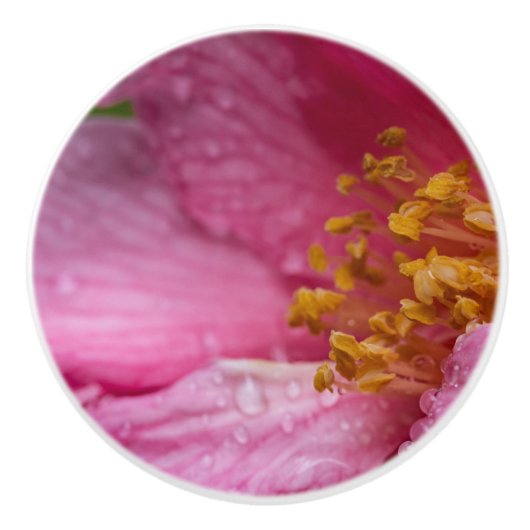 Roze Camellia Flower Stamens Keramische Knop (Voorkant)