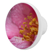 Roze Camellia Flower Stamens Keramische Knop (Rechts)