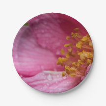 Roze Camellia Flower Stamens