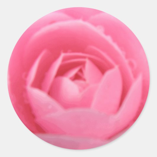 roze Camellia Flower Sticker (Voorkant)