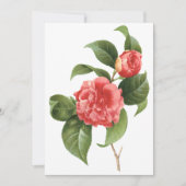 Roze Camellia Flowers door Redoute Uitnodiging (Voorkant)