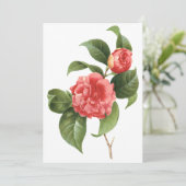 Roze Camellia Flowers door Redoute Uitnodiging (Staand voorkant)