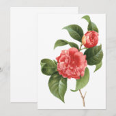 Roze Camellia Flowers door Redoute Uitnodiging (Voorkant / Achterkant)