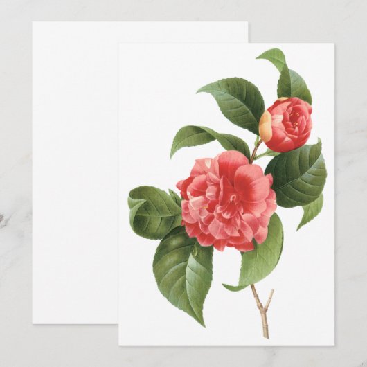 Roze Camellia Flowers door Redoute Uitnodiging (Voorkant / Achterkant)