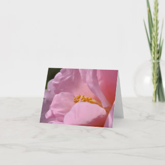 Roze Camellia gevouwen bedankkaart