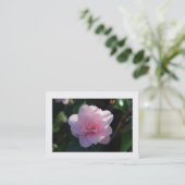 Roze Camellia (grens) Visitekaartje (Staand voorkant)