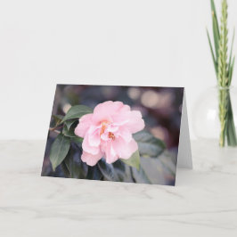 Roze Camellia Japonica Note Kaart