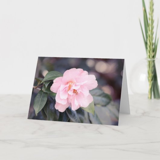 Roze Camellia Japonica Note Kaart (Voorkant)