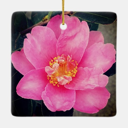 Roze Camellia Keramische kerstversiering Keramisch Ornament (Achterkant)