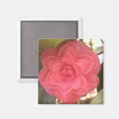 Roze Camellia Magnet (Voorkant / Achterkant)
