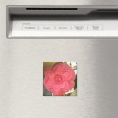 Roze Camellia Magnet (Insitu (Vaatwasser))