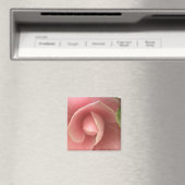 Roze Camellia Magnet (Insitu (Vaatwasser))