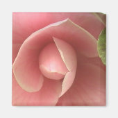Roze Camellia Magnet (Voorkant)