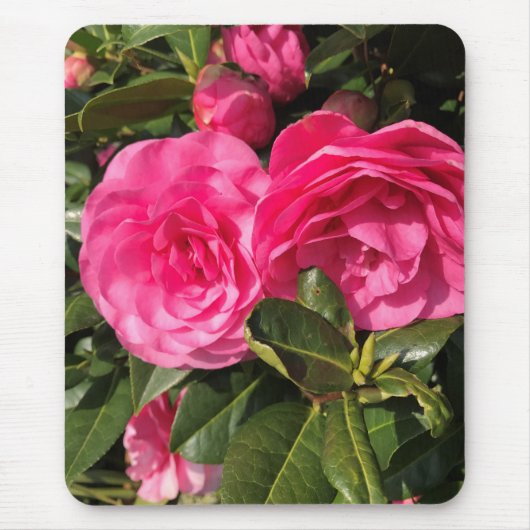 Roze Camellia Muismat (Voorkant)