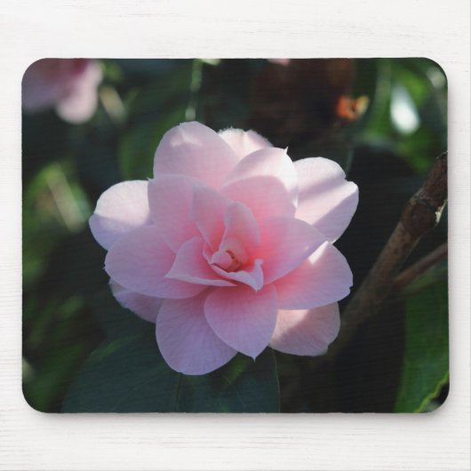 Roze Camellia Muismat (Voorkant)