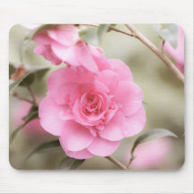 Roze Camellia