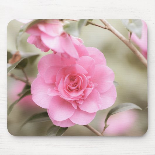  Roze Camellia Muismat (Voorkant)