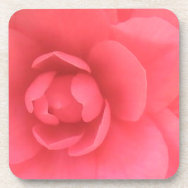 Roze Camellia Onderzetter