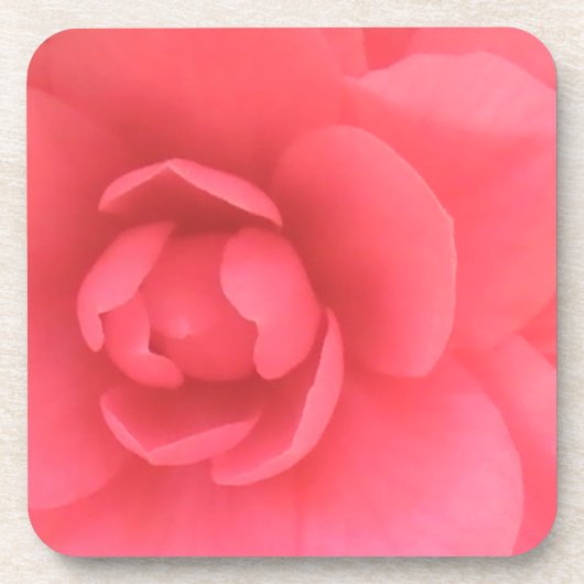 Roze Camellia Onderzetter (Voorkant)