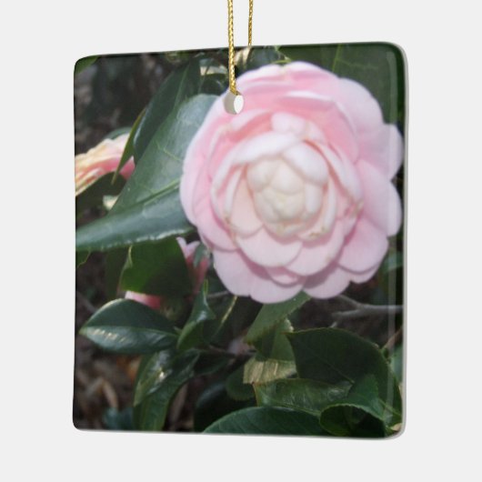 Roze Camellia-Ornament Keramisch Ornament (Links)