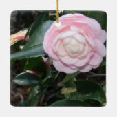 Roze Camellia-Ornament Keramisch Ornament (Achterkant)