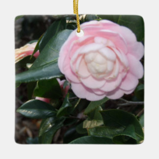 Roze Camellia-Ornament Keramisch Ornament