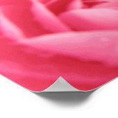 Roze Camellia Print (Hoek)