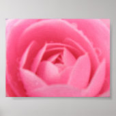 Roze Camellia Print (Voorkant)