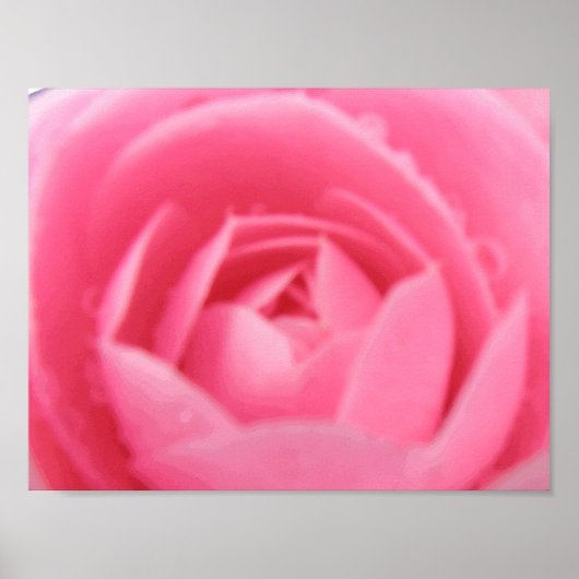 Roze Camellia Print (Voorkant)