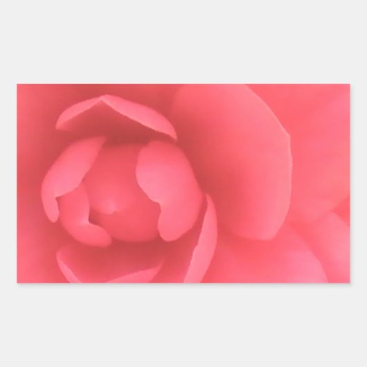 Roze Camellia Rechthoekige Sticker (Voorkant)