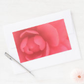 Roze Camellia Rechthoekige Sticker (Envelop)