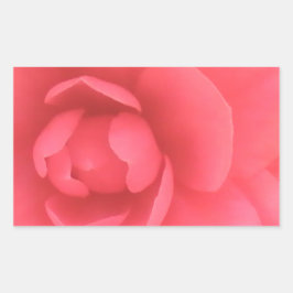 Roze Camellia Rechthoekige Sticker