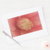 Roze Camellia Rechthoekige Sticker (Envelop)