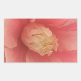 Roze Camellia Rechthoekige Sticker