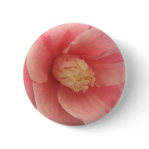 Roze Camellia